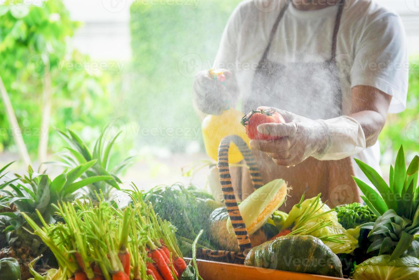 Farmer standing in the farm and selecting vegetables for sale. Selective focusf photo