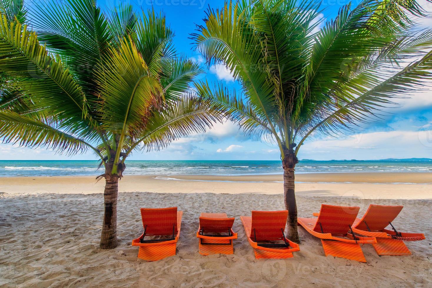 playa sillas y Coco palma árbol con azul cielo antecedentes en el tropical playa a tiempo de día foto