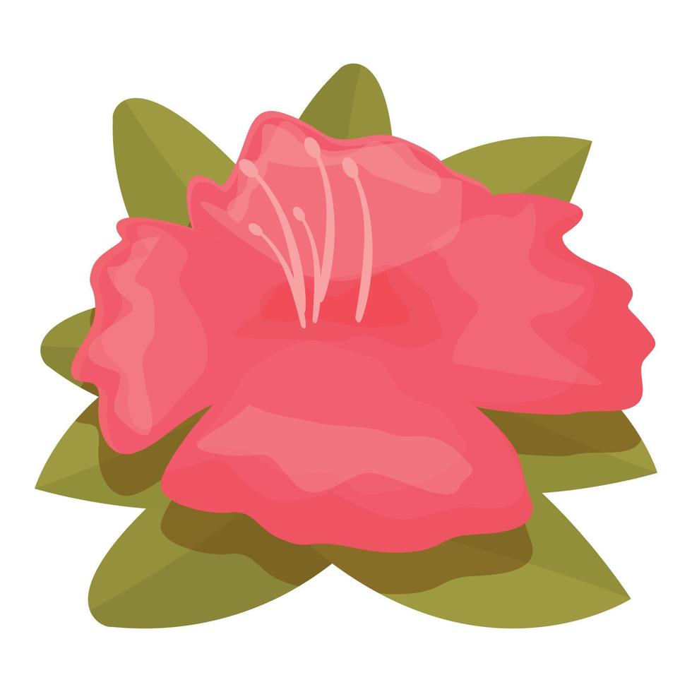 Colorful rhododendron icon cartoon vector. Flower plant vector