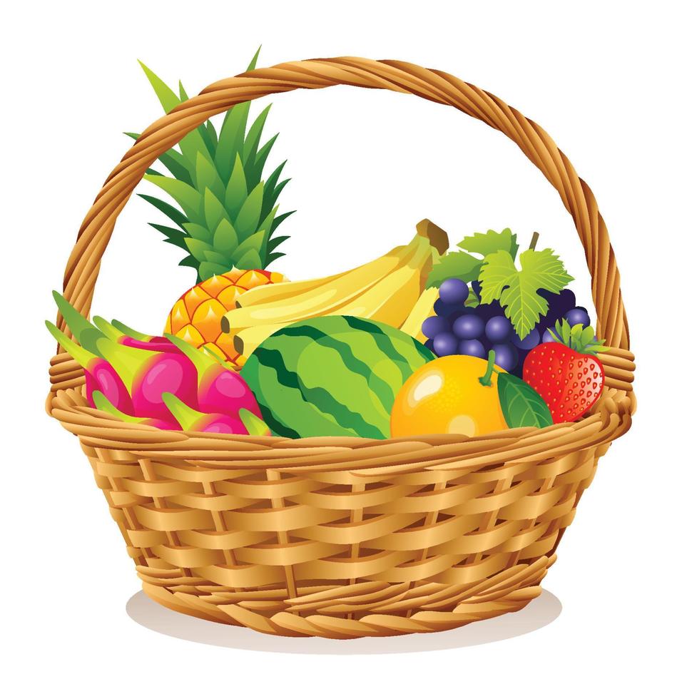 Wicker basket with fruits illustration isolated on white background vector