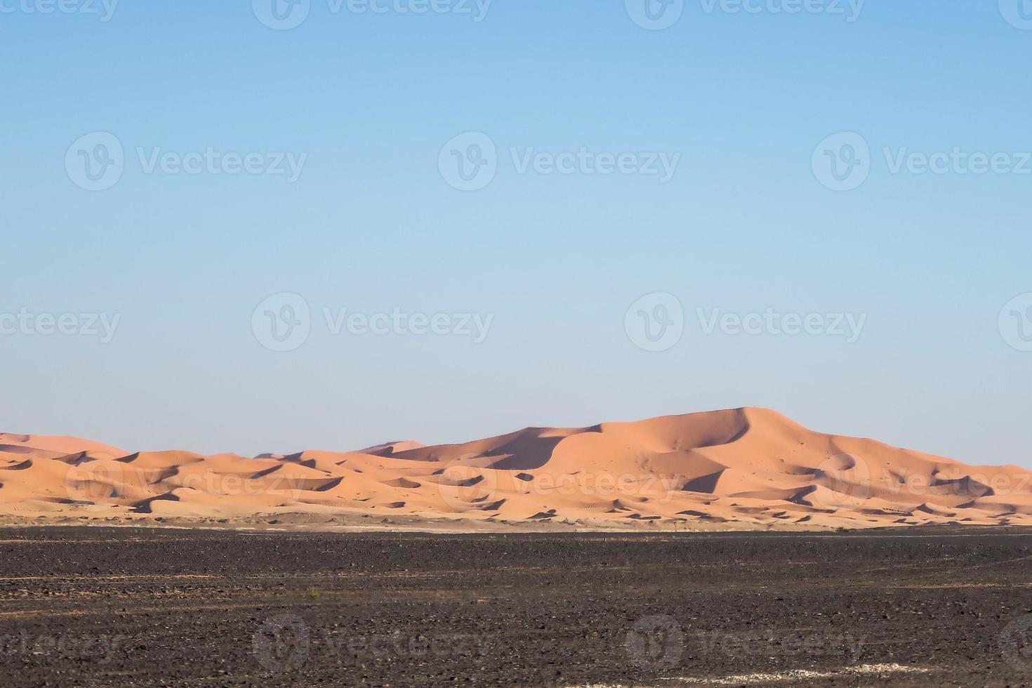 pintoresco paisaje desértico foto