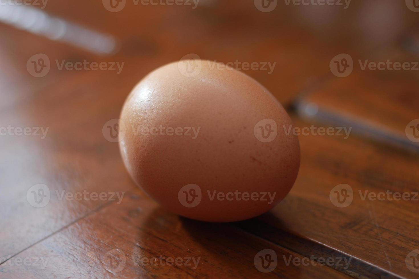 a close up of a chicken egg photo