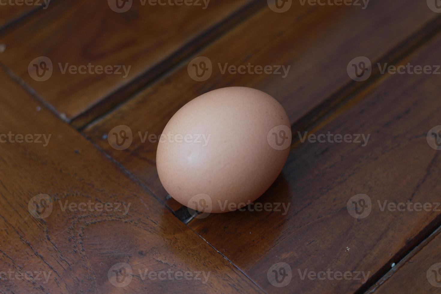 a close up of a chicken egg photo