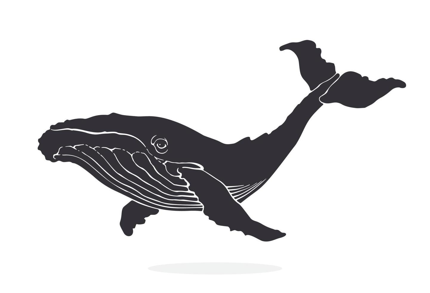 silueta de grande ballena. submarino fauna y mar animales gráfico Clásico elemento. aislado modelo en blanco antecedentes vector