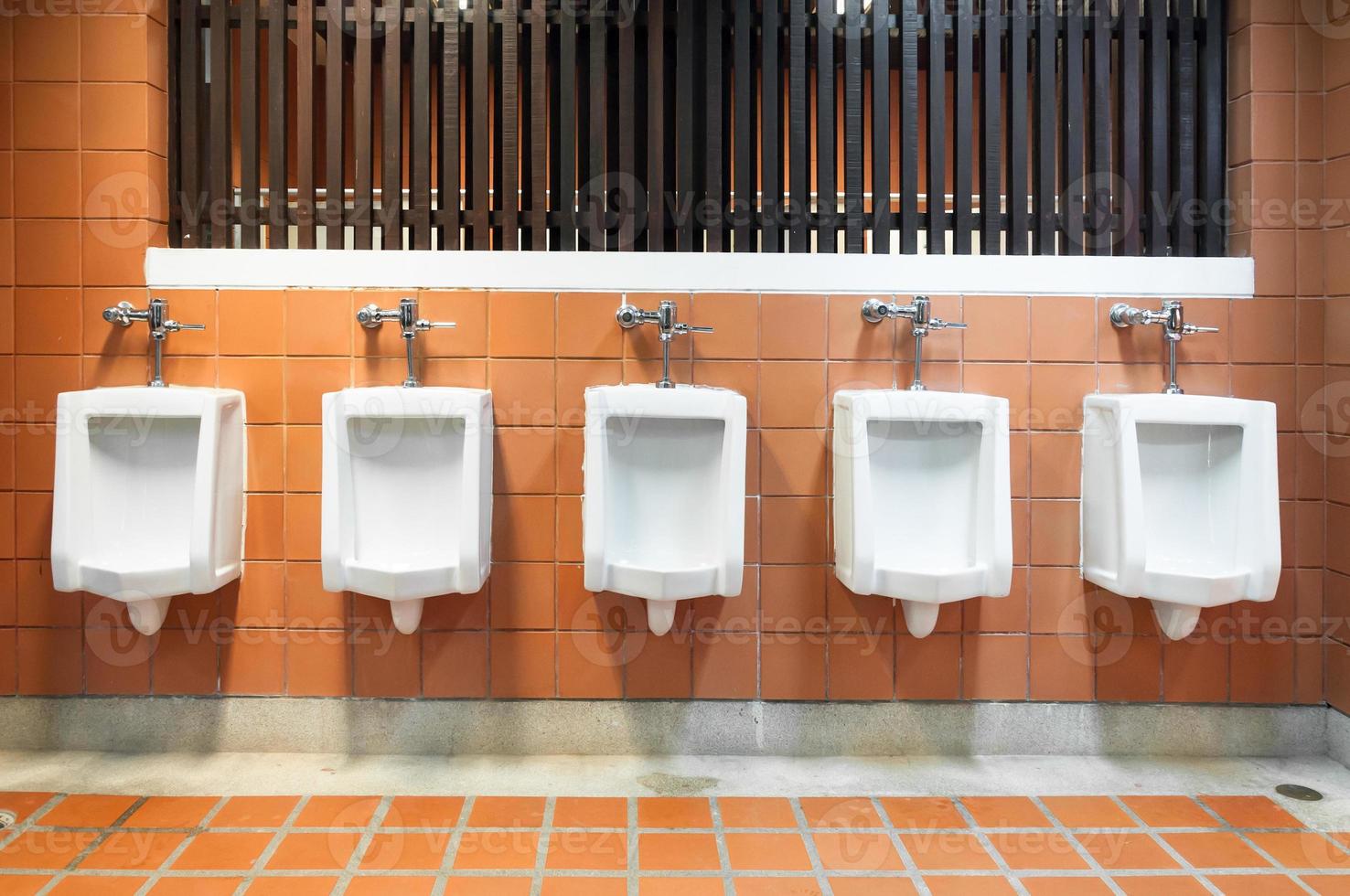 Men's room urinals discharge of waste from the body,men toilets photo