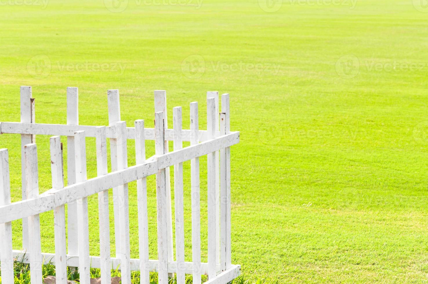 The lawn white wooden fence green grass in garden photo