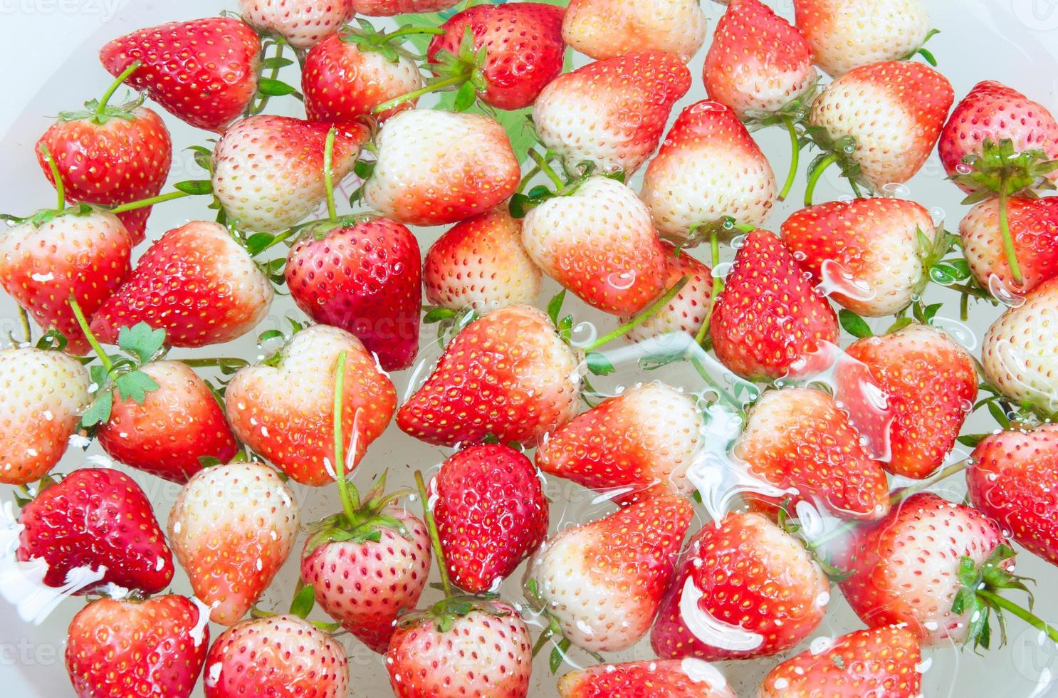 red freshly Strawberry inside cold water, sweet spring strawberries closeup, on white background photo