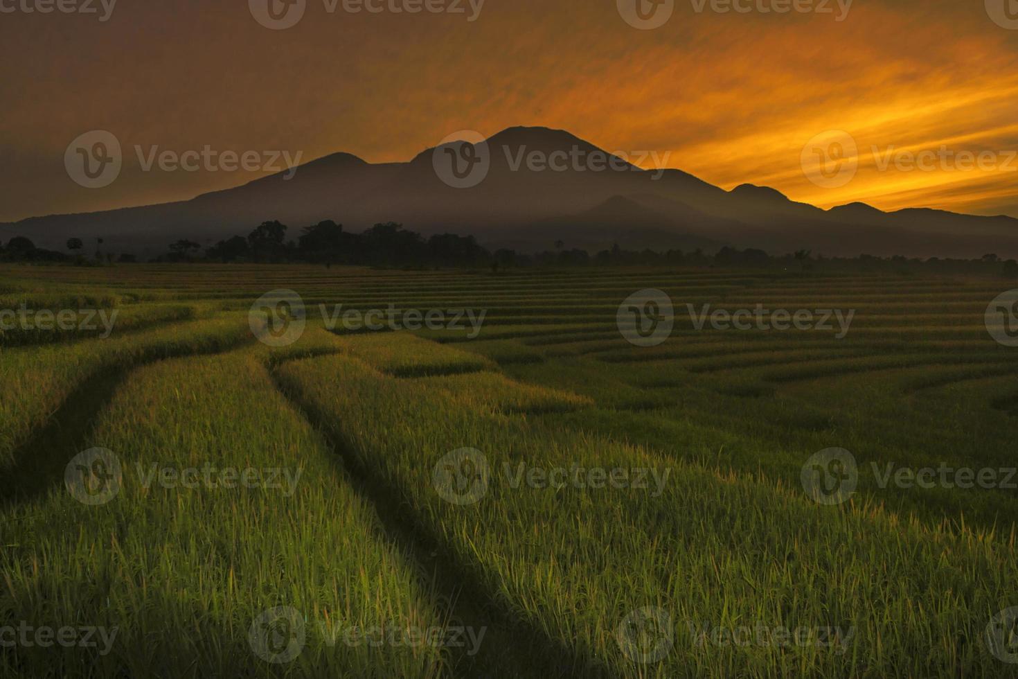 Beautiful morning view indonesia. Panorama Landscape paddy fields with beauty color and sky natural light photo