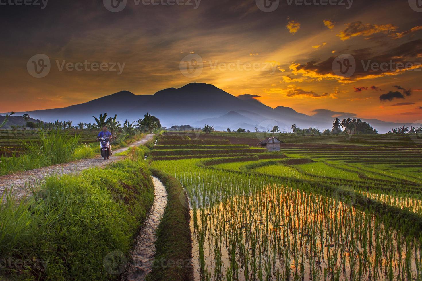 Beautiful morning view indonesia. Panorama Landscape paddy fields with beauty color and sky natural light photo
