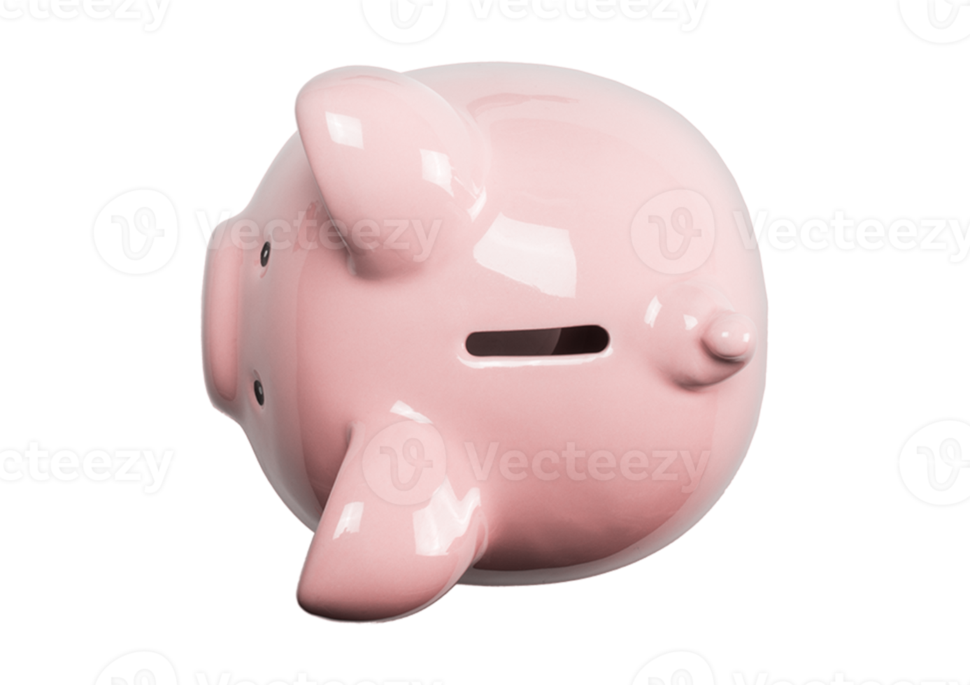 rosado cerdito banco aislado en un transparente antecedentes png