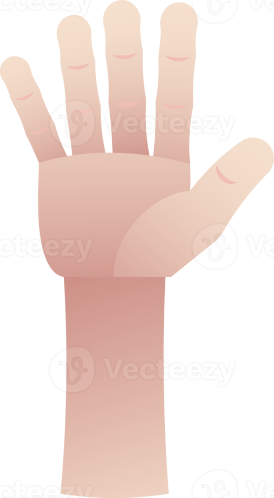 Hand Counting Five On Fingers png