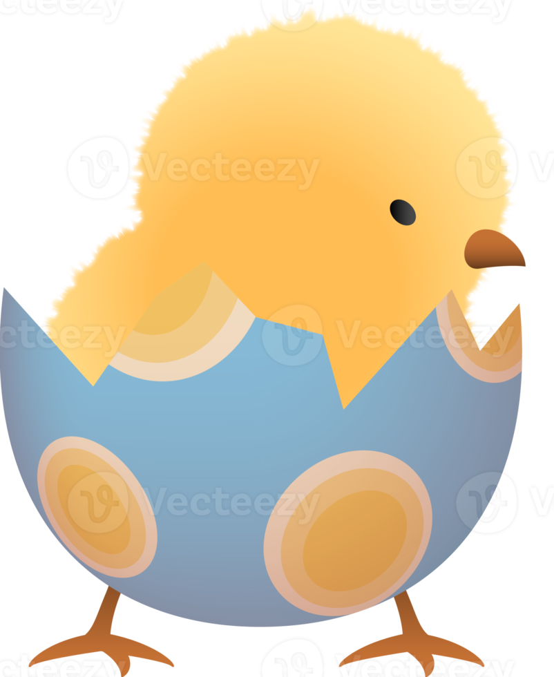 Chick in eggshell illustration png