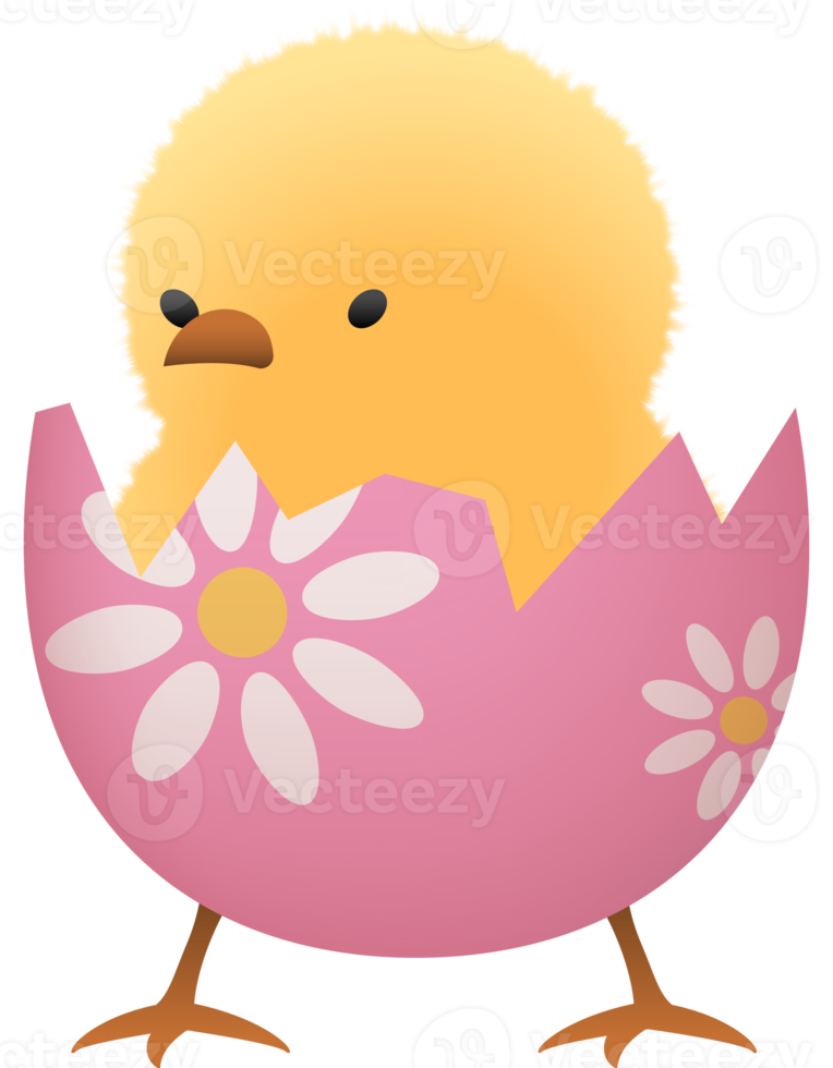 Chick in eggshell illustration png