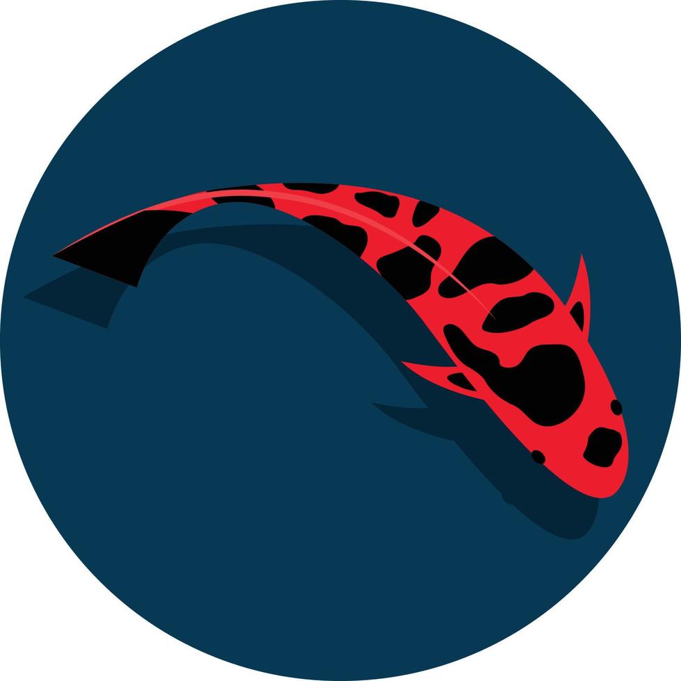 fancy carp vector illustration