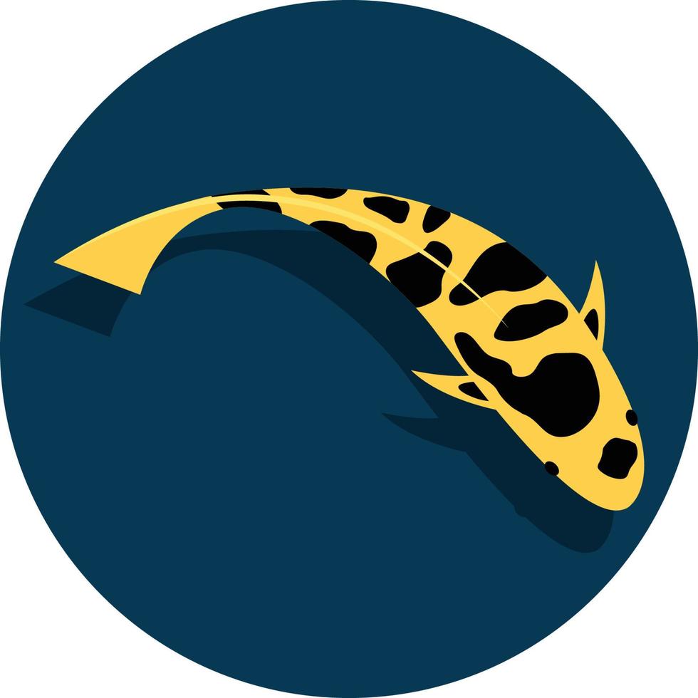 fancy carp vector illustration