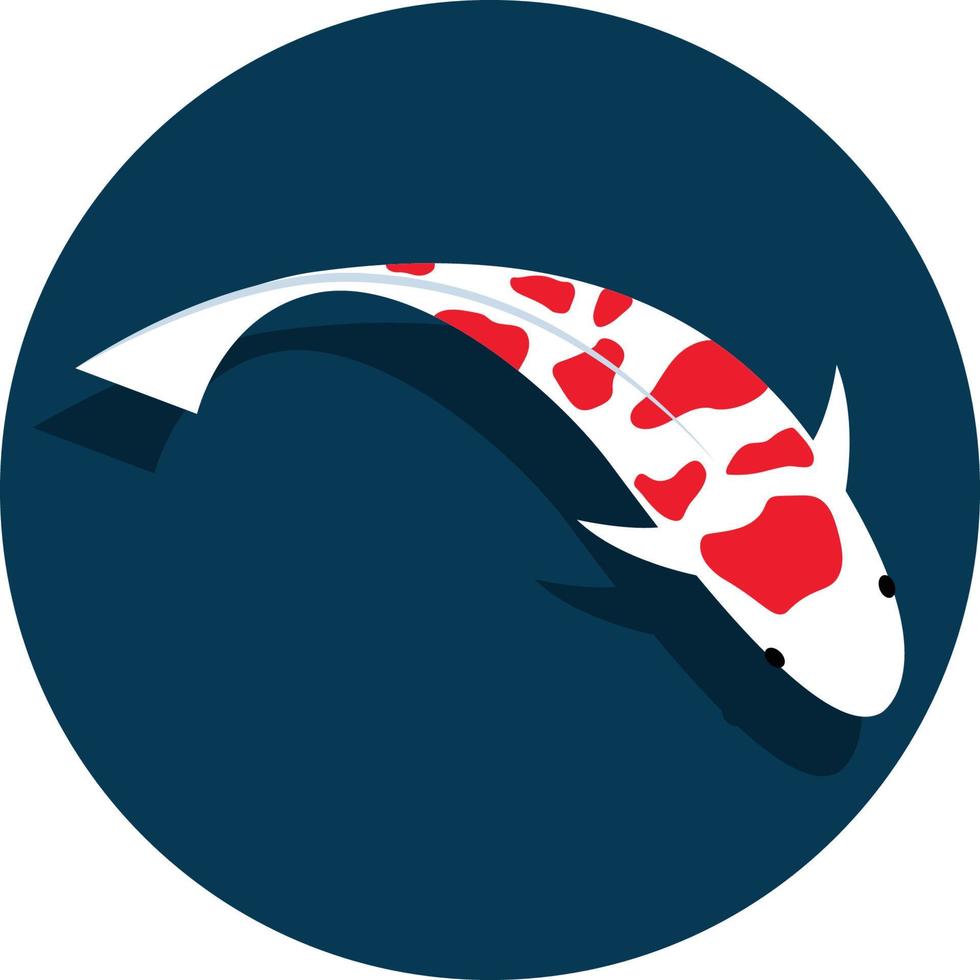 fancy carp vector illustration