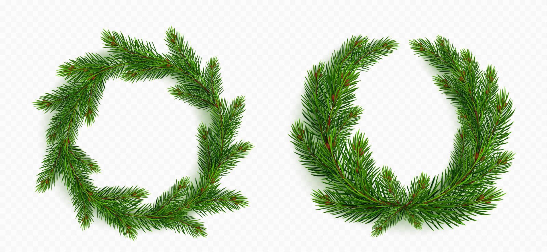 Pine tree branch, round wreath christmas garland. vector