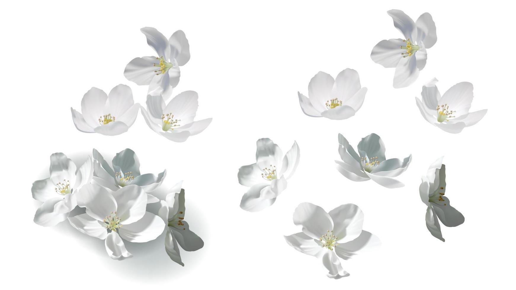 White jasmine flowers flying, falling and in heap vector