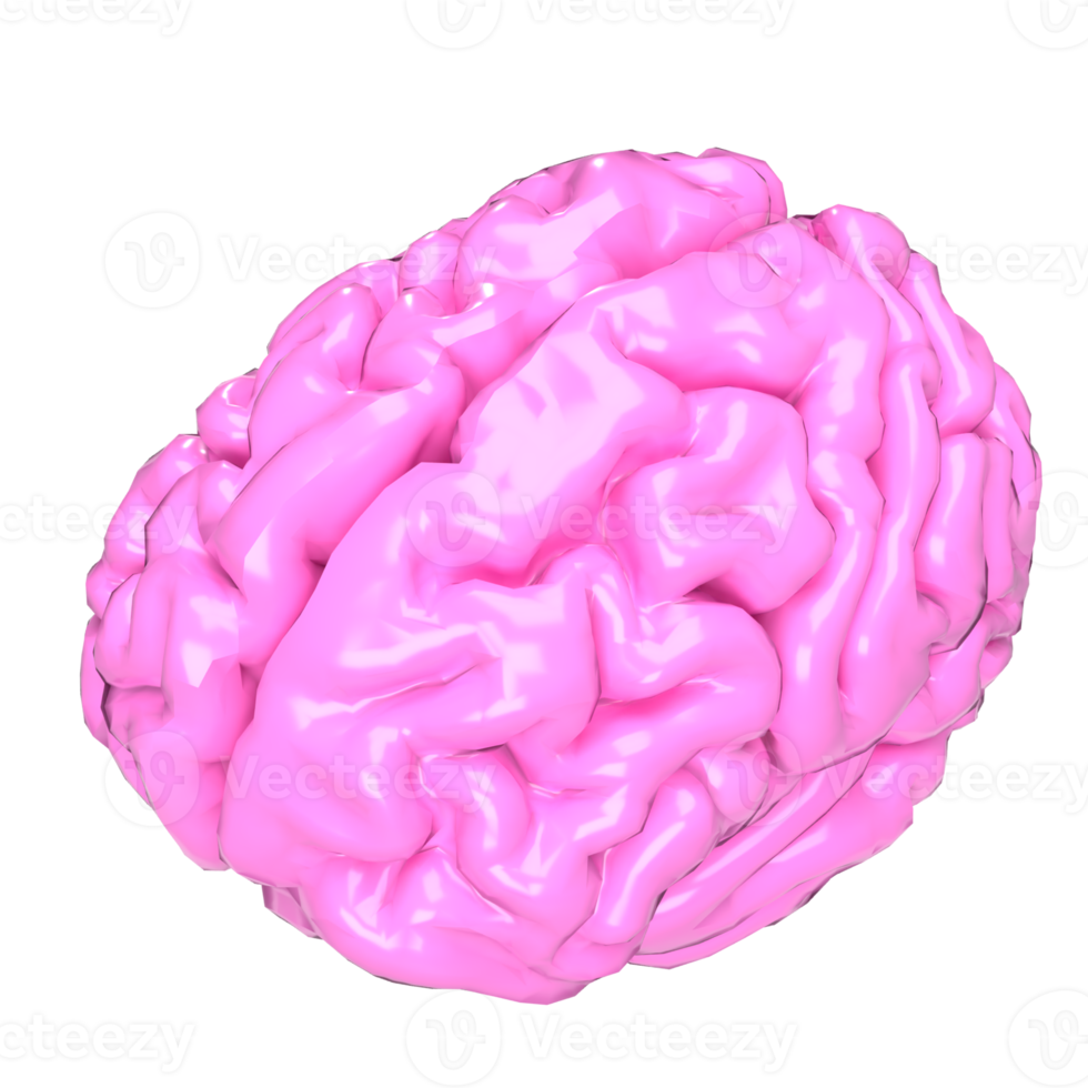 el rosado cerebro png imagen para ciencia o médico concepto 3d representación