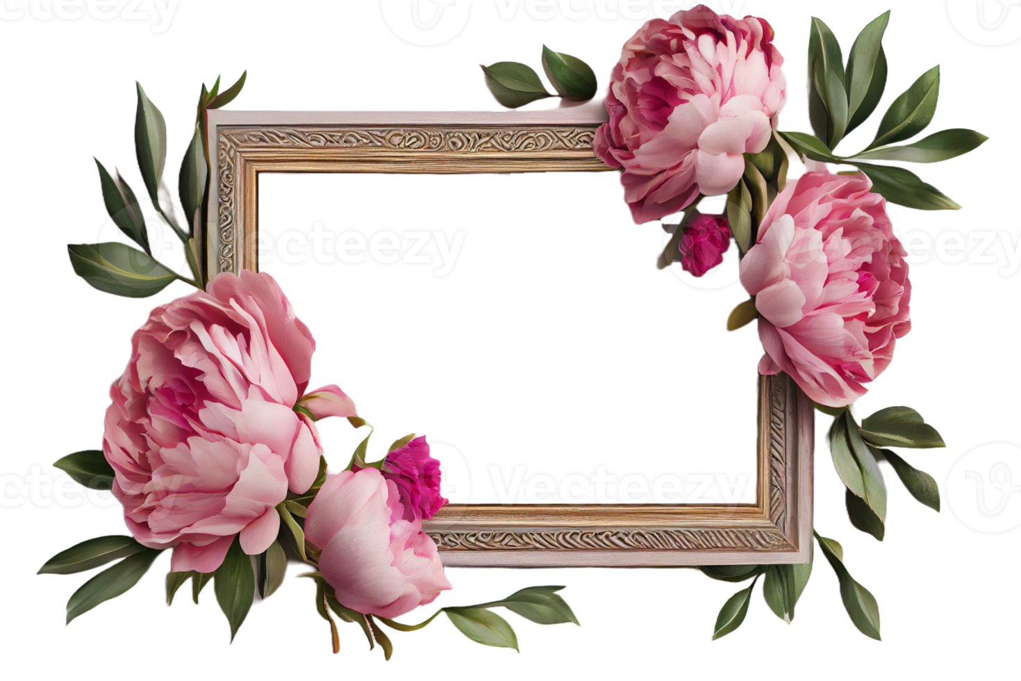 Frame made of peony flowers on a transparent background. Png file. Floral