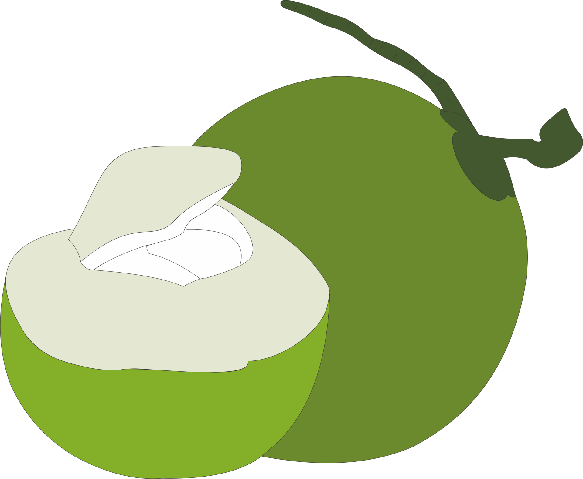 Coconut fruit PNG 21495116 PNG