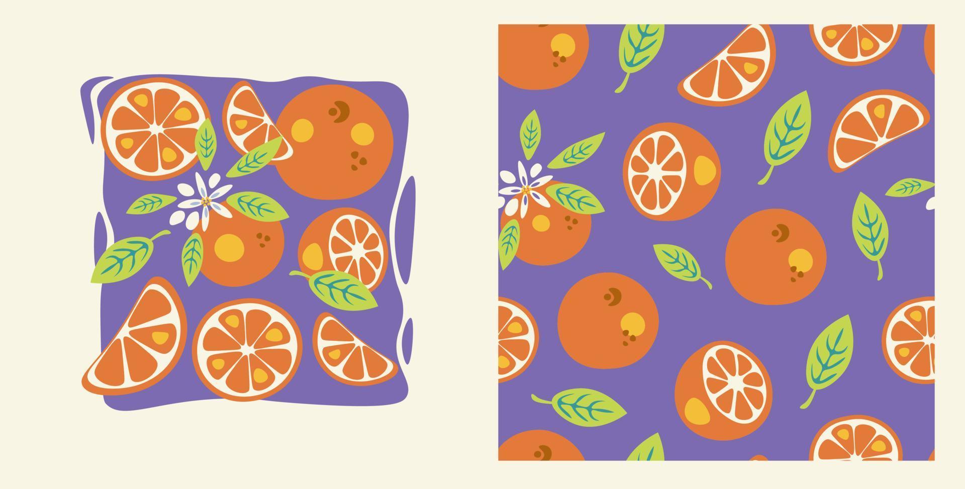 Orange fruit elements collection vector