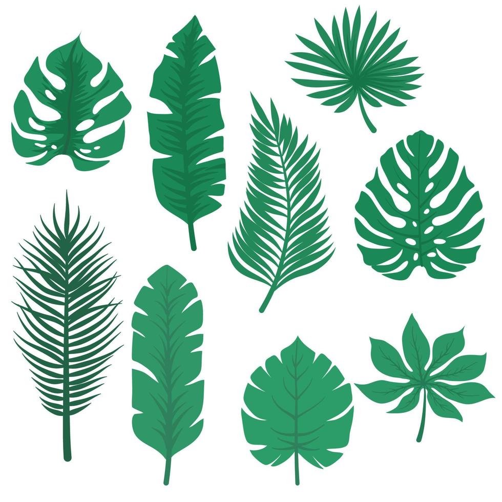 Tropical leaf vector set collection