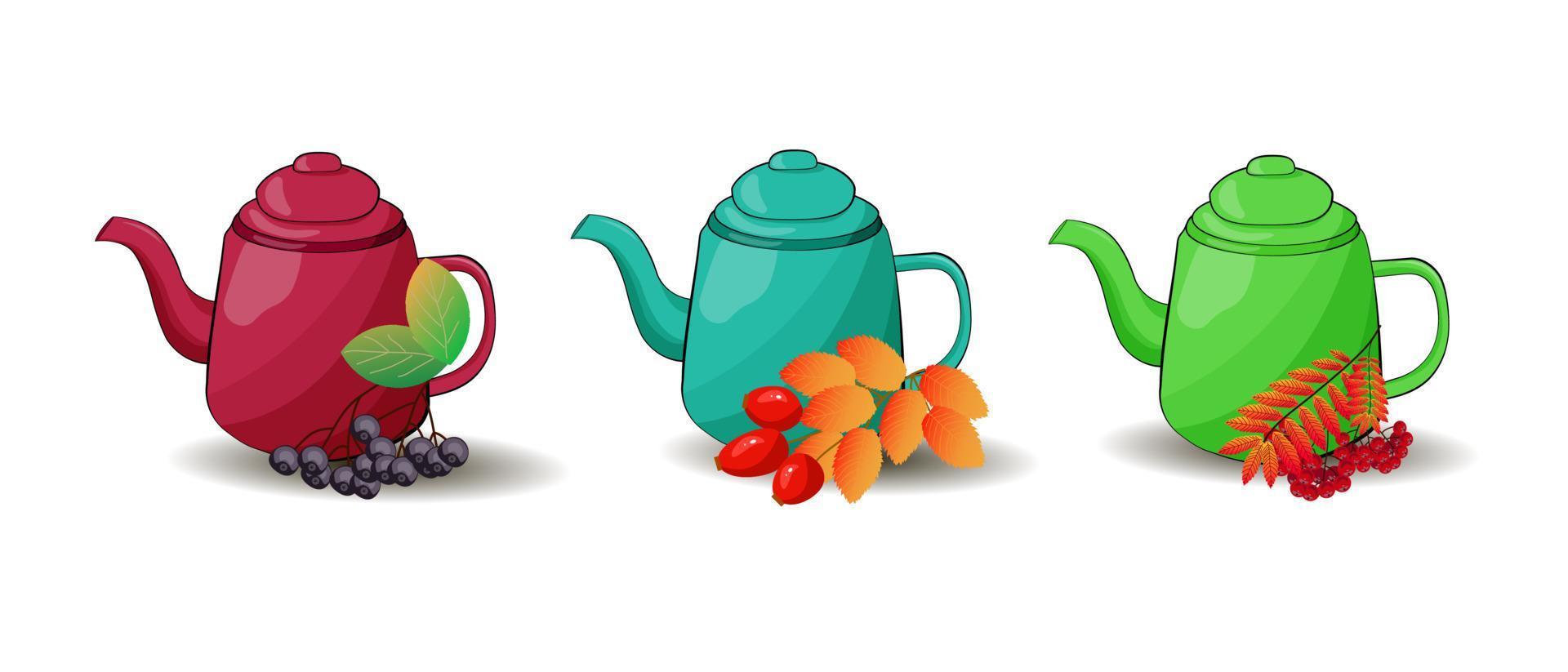 set of teapots with berries vector