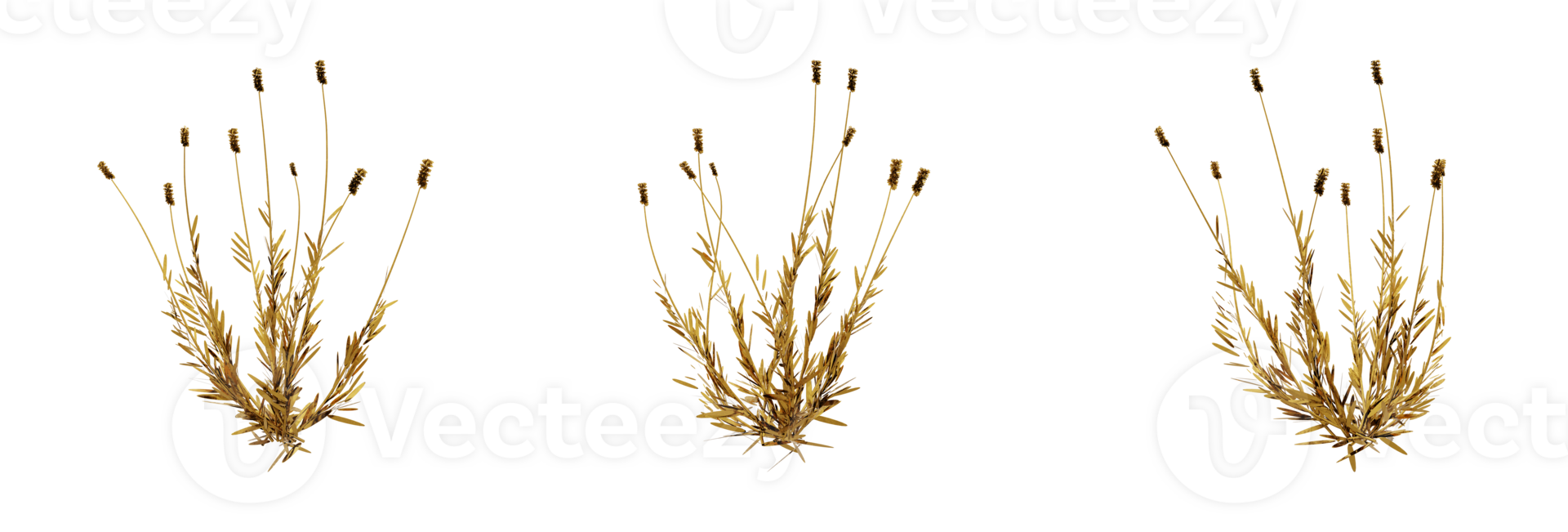 A stunning 3D rendering of a golden plant that will add richness and elegance to any design. This gold plant has a metallic finish and natural-looking leaves png