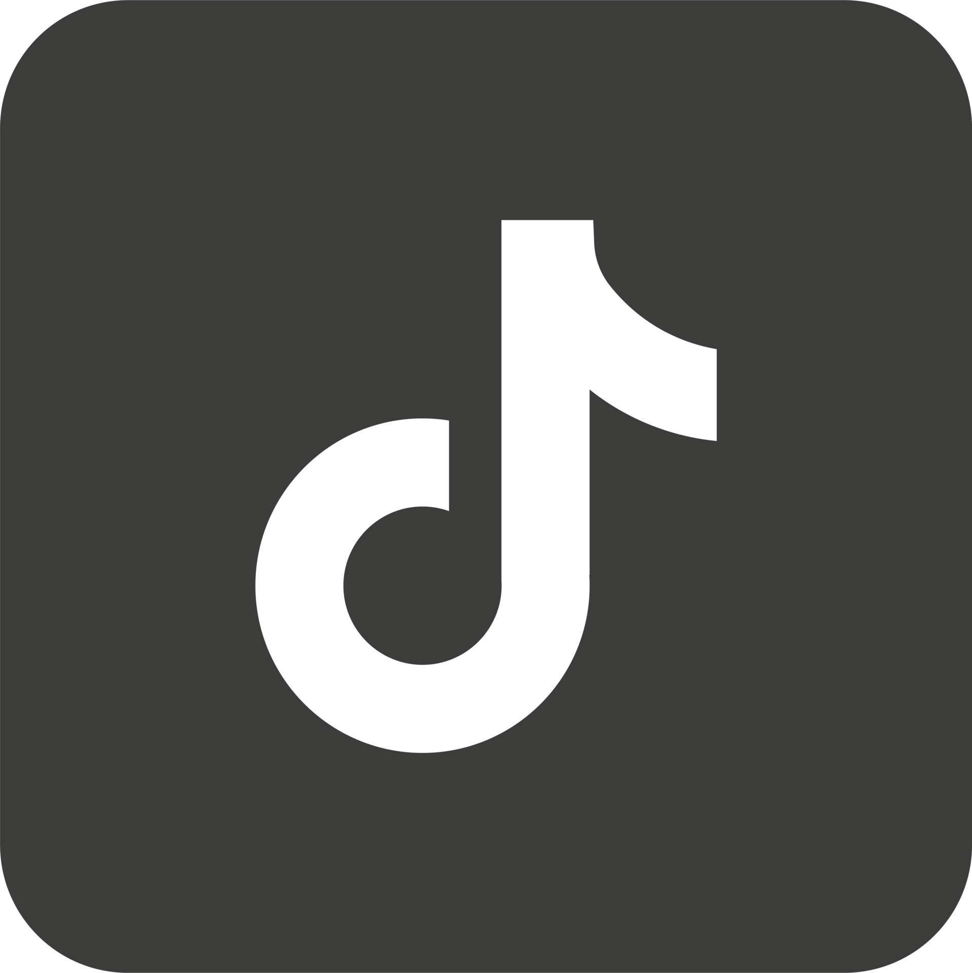 Larajuicytv Pvc Tiktok:  A Social Media Case Study - t5jvr4p