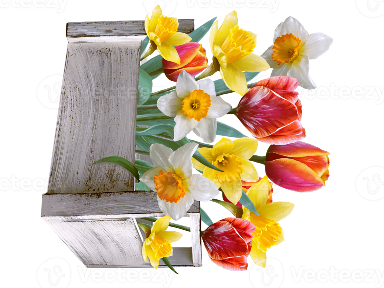 daffodils and tulips in a bouquet illustration png