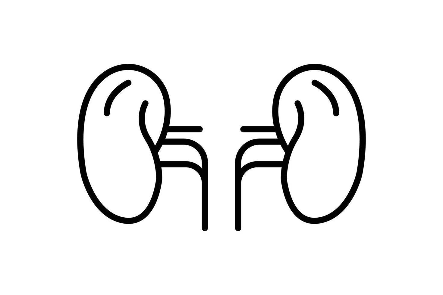 riñón icono ilustración. icono relacionado a interno Organo. línea icono estilo. sencillo vector diseño editable