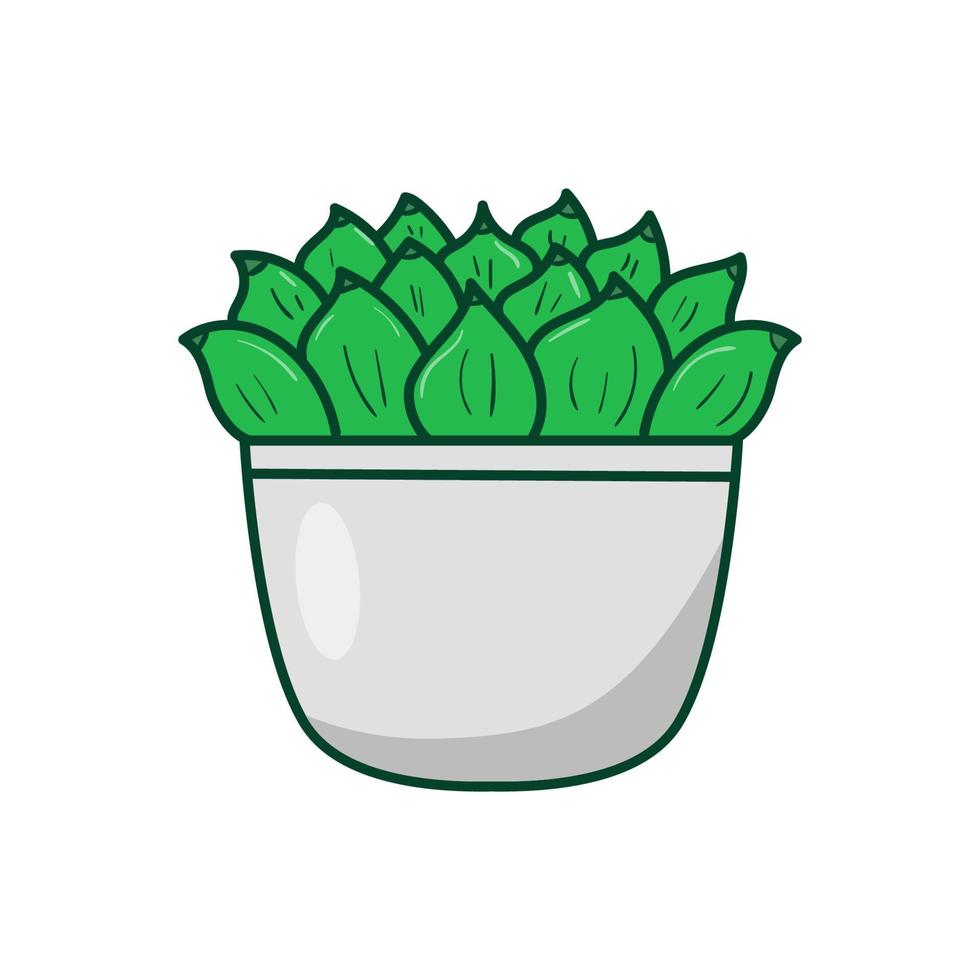 Succulent with pot vector illustration in hand drawn style