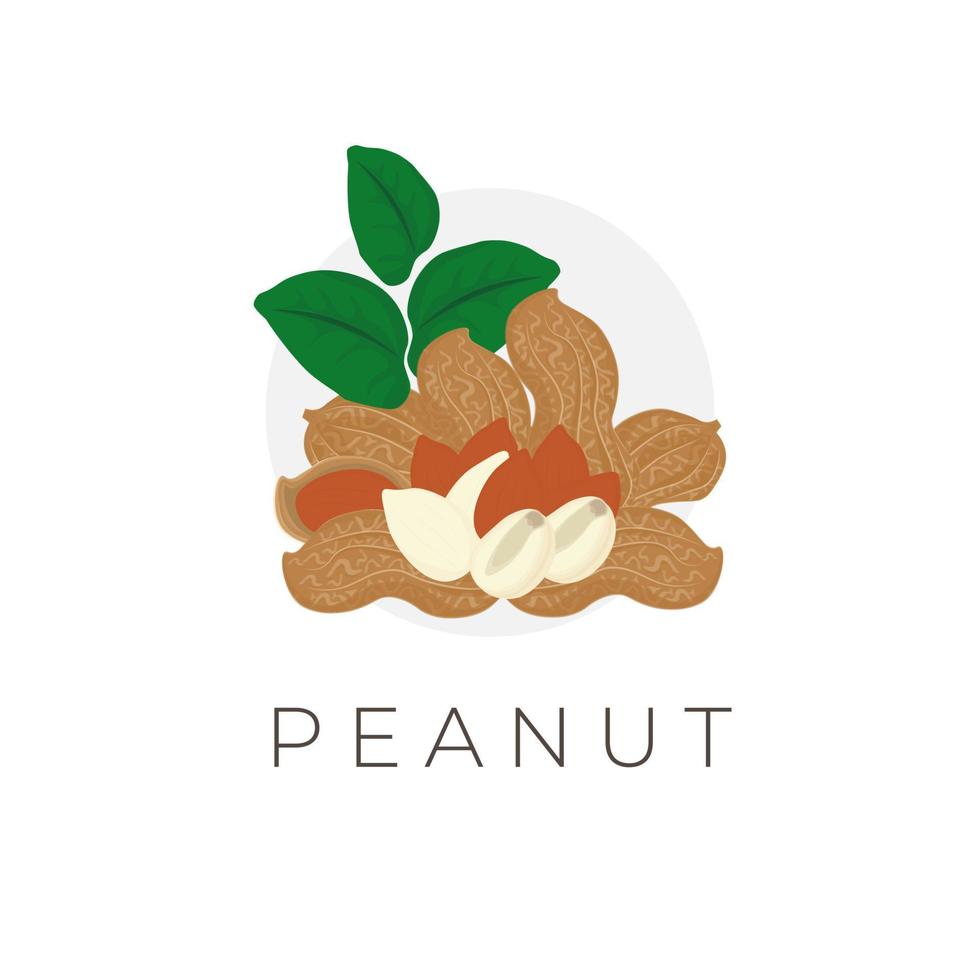 Peanut Vector Illustration Logo With Leaf