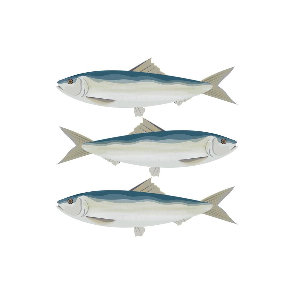 logo ilustración de un grupo sardinas en un blanco antecedentes vector