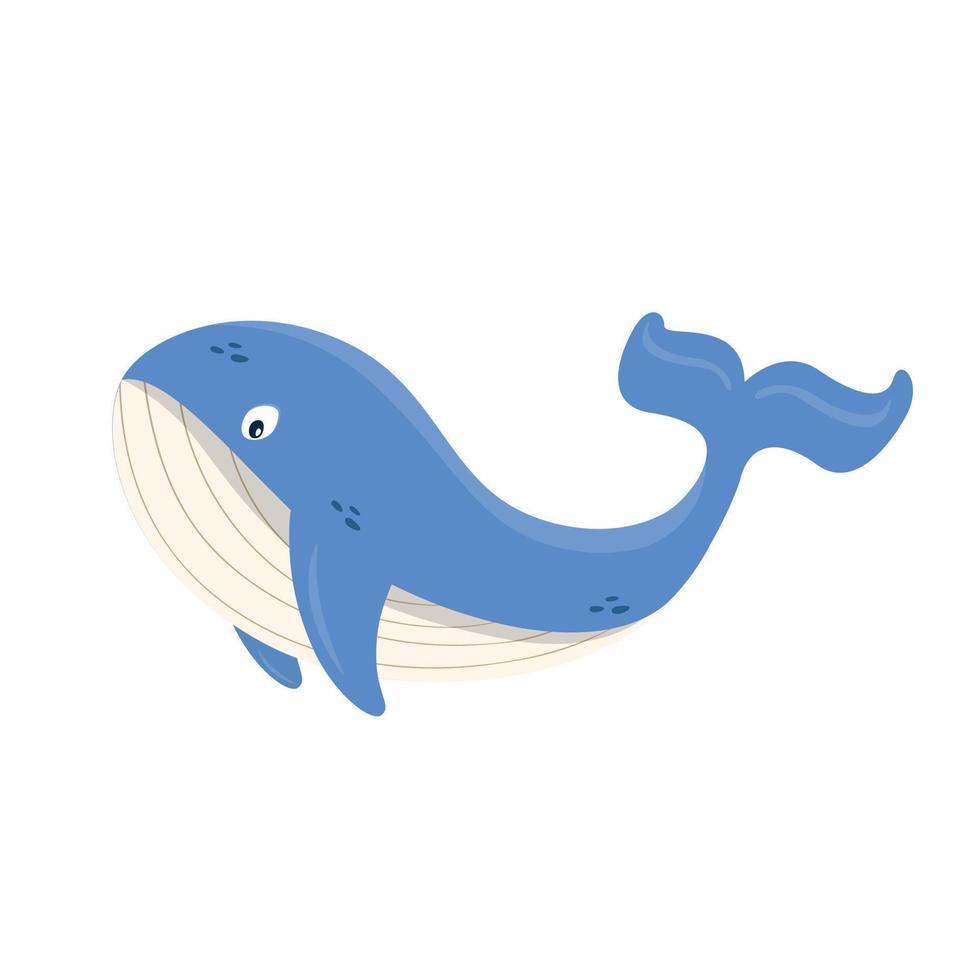 Cartoon whale isolated. Cute whale. Whale sea animal vector