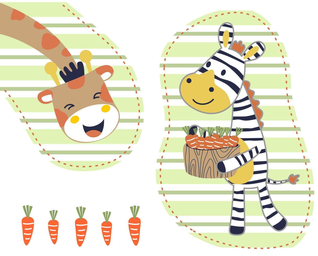 funny zebra carrying lots of carrot for giraffe, vector cartoon illustration