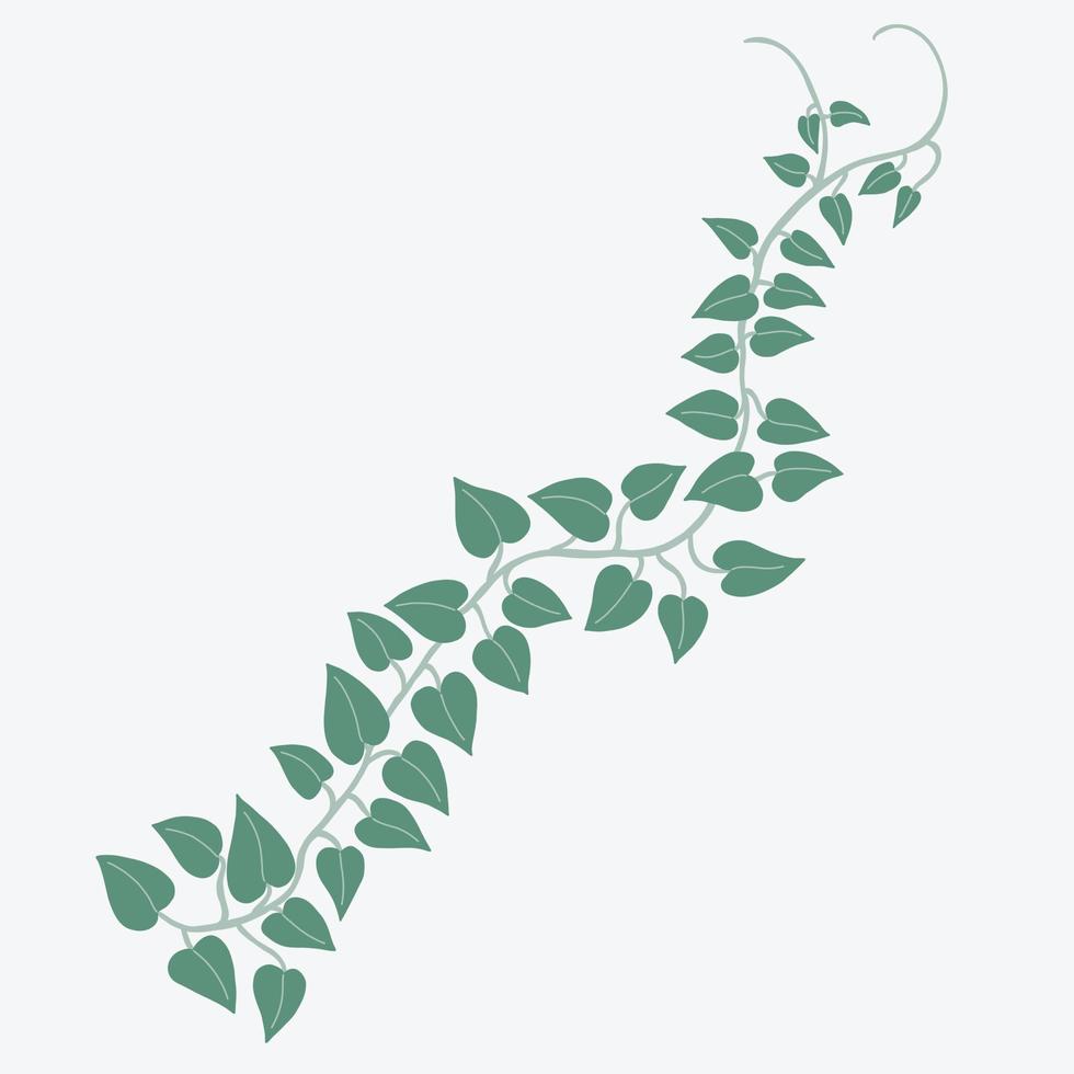 Floral ivy drawing decorative ornament flat design. vector