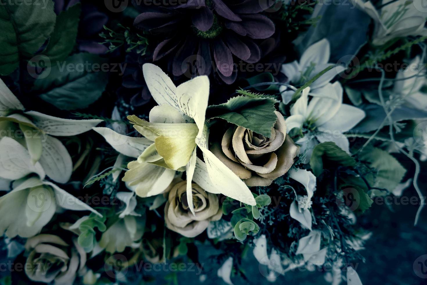 Roses in the cemetery photo