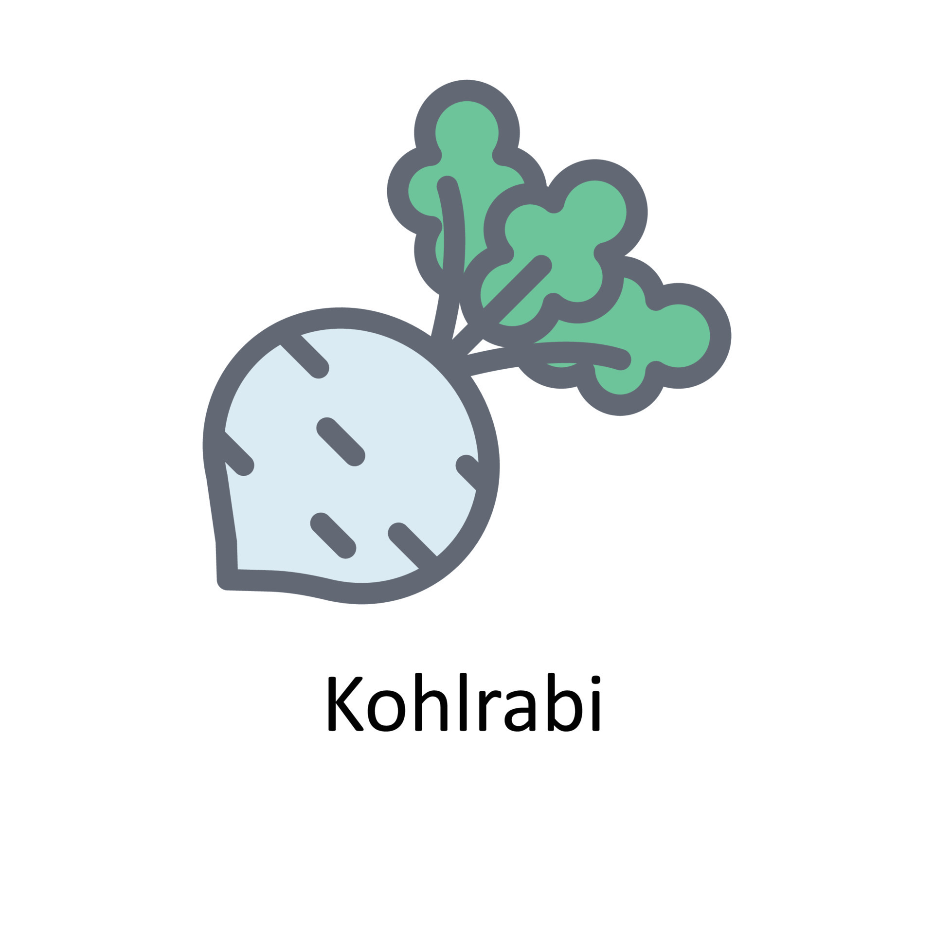 Kohlrabi Vector Fill Outline Icons. Simple stock illustration stock