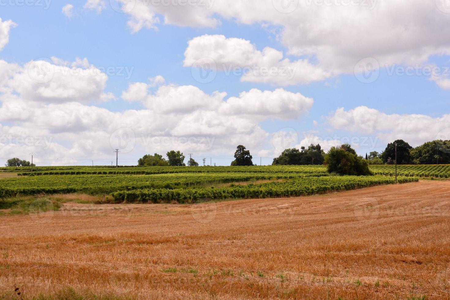 Scenic rural landscape photo