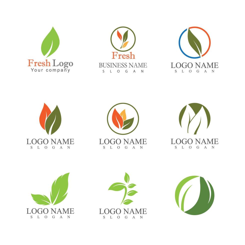 Leaf icon Vector Illustration design Logo template