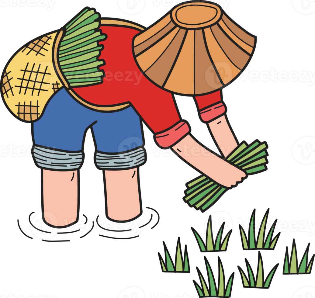 farmers harvesting rice illustration in doodle style png