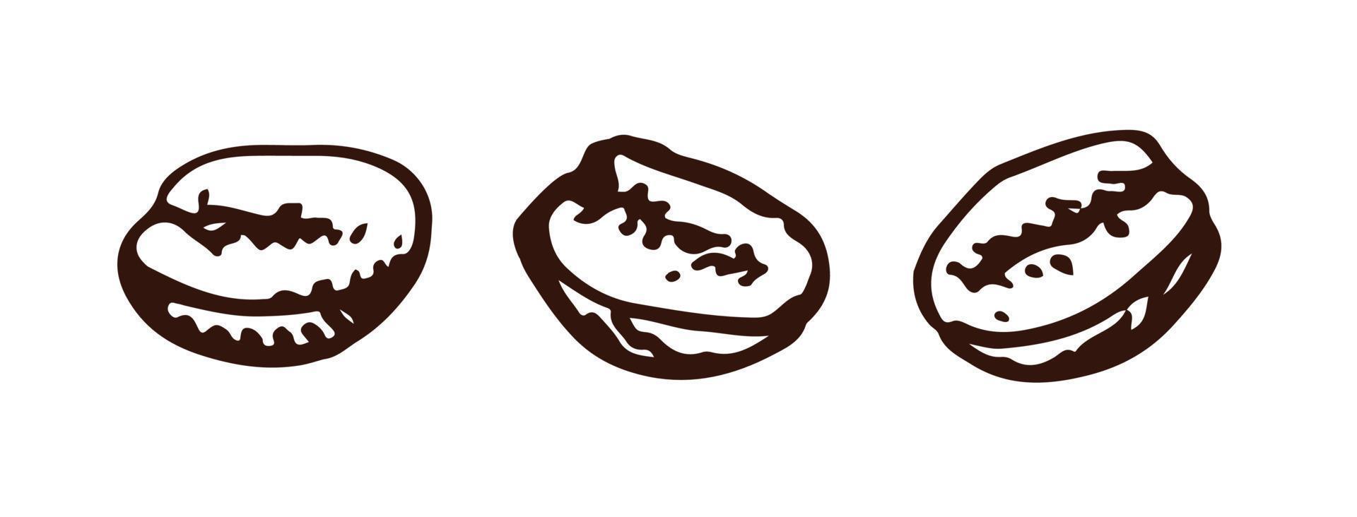 Coffee beans hand drawn style. Vector illustration.