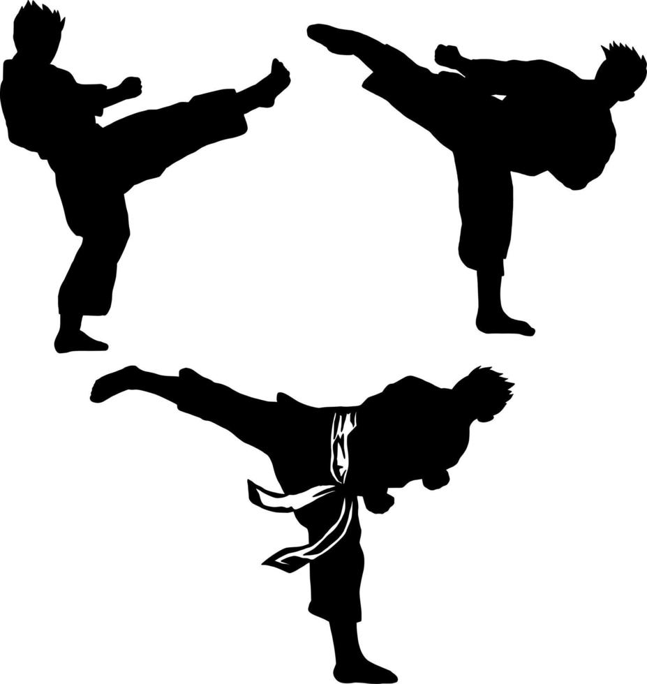 karate icon vector