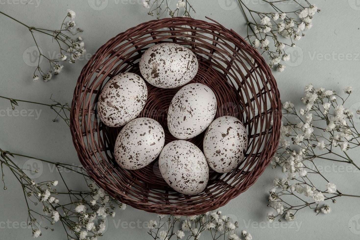 Pastel Easter eggs background. Spring greating card. Easter eggs in basket photo