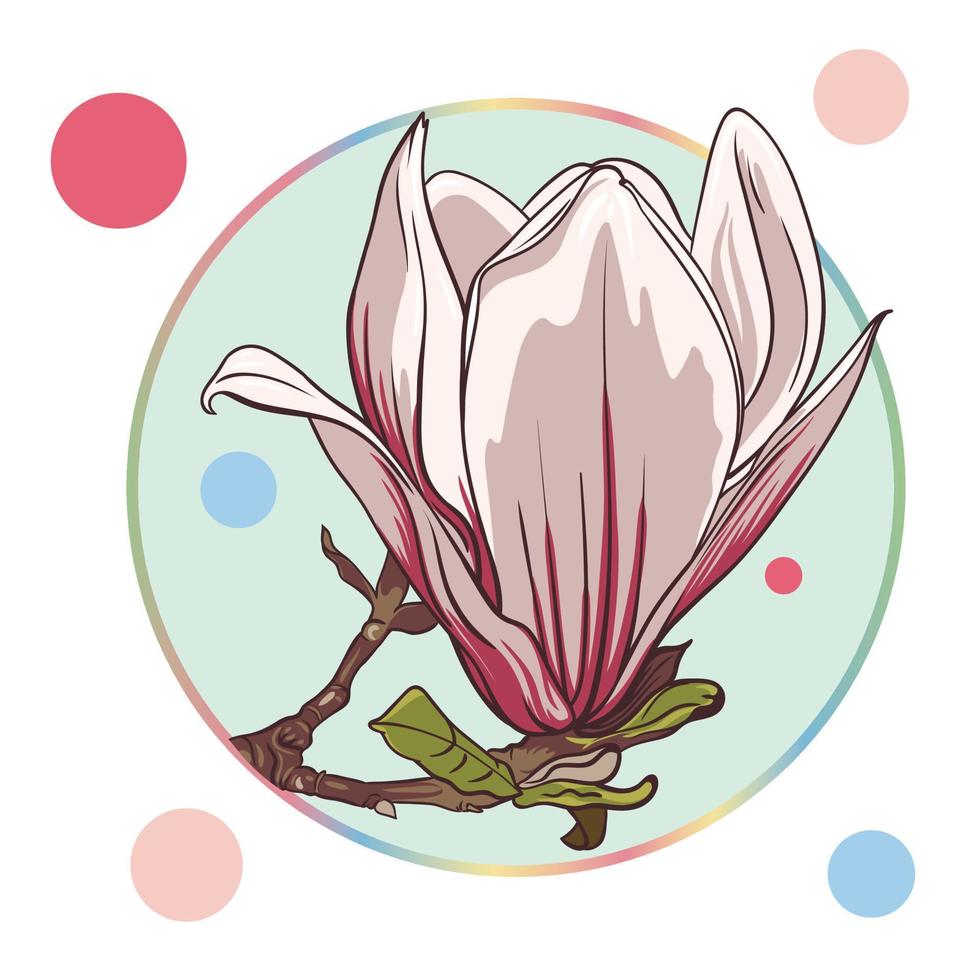 pink magnolia flower, isolated in a turquoise circle on a white background with colorful dots. green leaves, open buds, closed buds, pink flowers. vector illustration