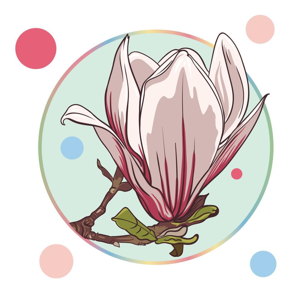 rosado magnolia flor, aislado en un turquesa circulo en un blanco antecedentes con vistoso puntos verde hojas, abierto brotes, cerrado brotes, rosado flores vector ilustración