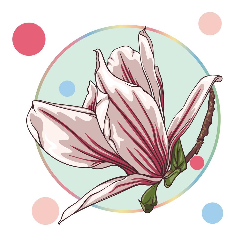 pink magnolia flower, isolated in a turquoise circle on a white background with colorful dots. green leaves, open buds, closed buds, pink flowers. vector illustration