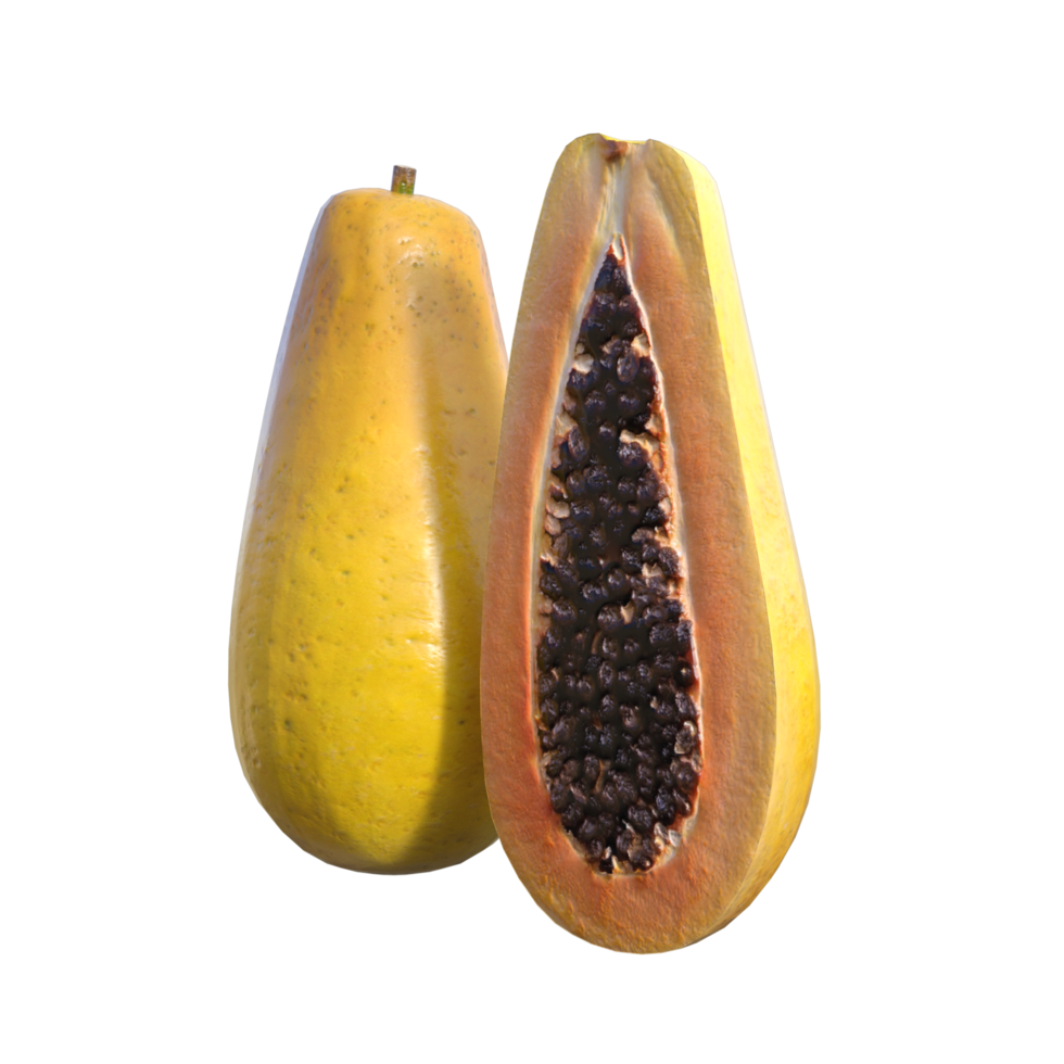 papaya isoalted 3d representación png